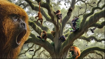 Ilustração mostra um bugio-ruivo no primeiro plano e um cenário de árvores ao fundo, com outros bugios nos galhos. Foto: Glauco Lara
